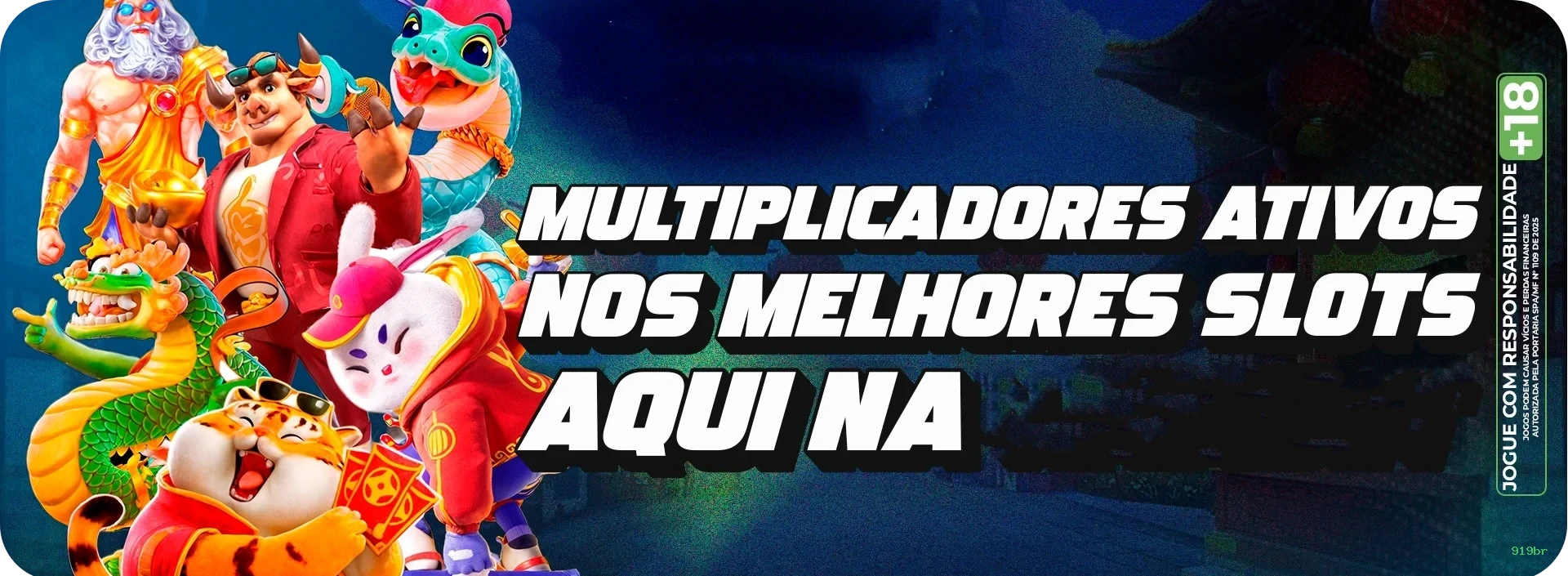 Privacidade 919br
